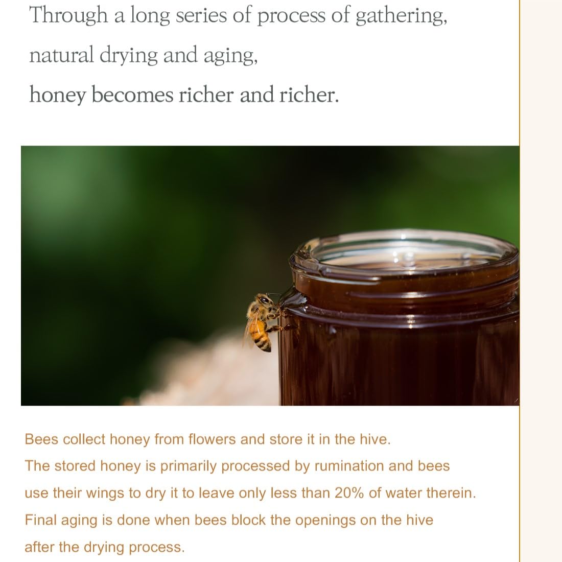 I'm from Honey Serum 30ml, 30.63% of Honey Glow Queen