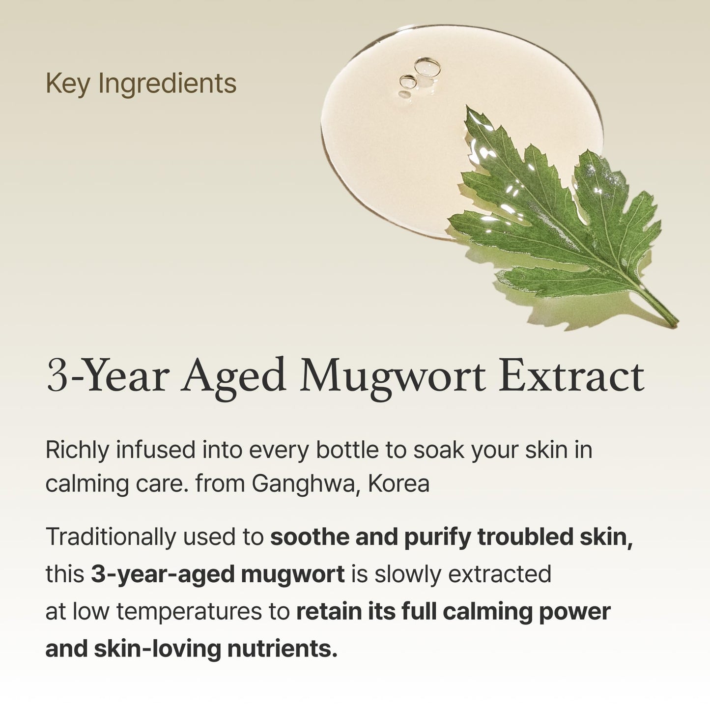 I'm from Mugwort Essence 5.4 Fl Oz | 100% Vegan Mugwort Extract - Soothe Sensitive and Irritated Skin, Redness Relief, Refreshing, Korean Hydrating toner | All Skin Types, PETA approved