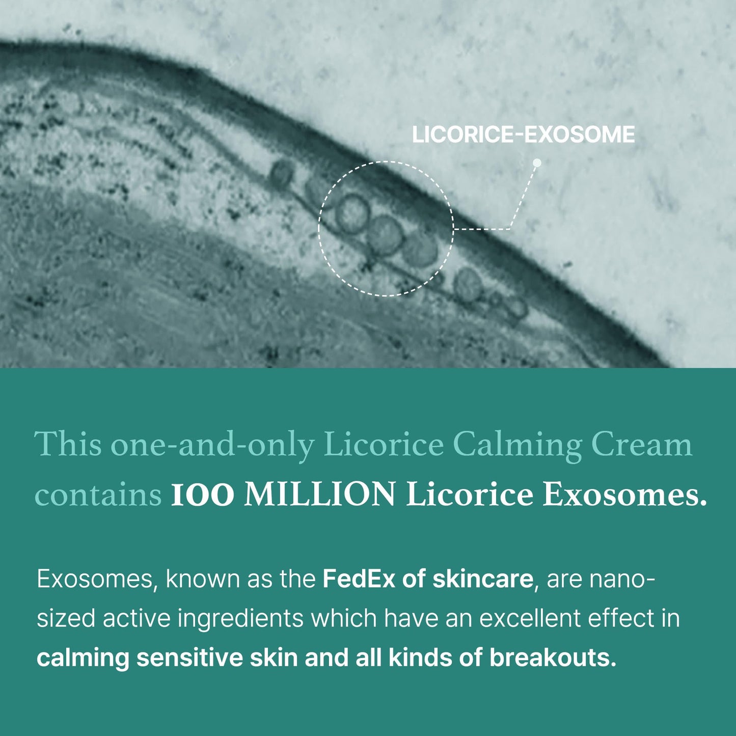 I'm from Licorice Calming Cream 50 ml, Korean Licorice, Soothing, Hydrating for Sensitive & Irritated Skin