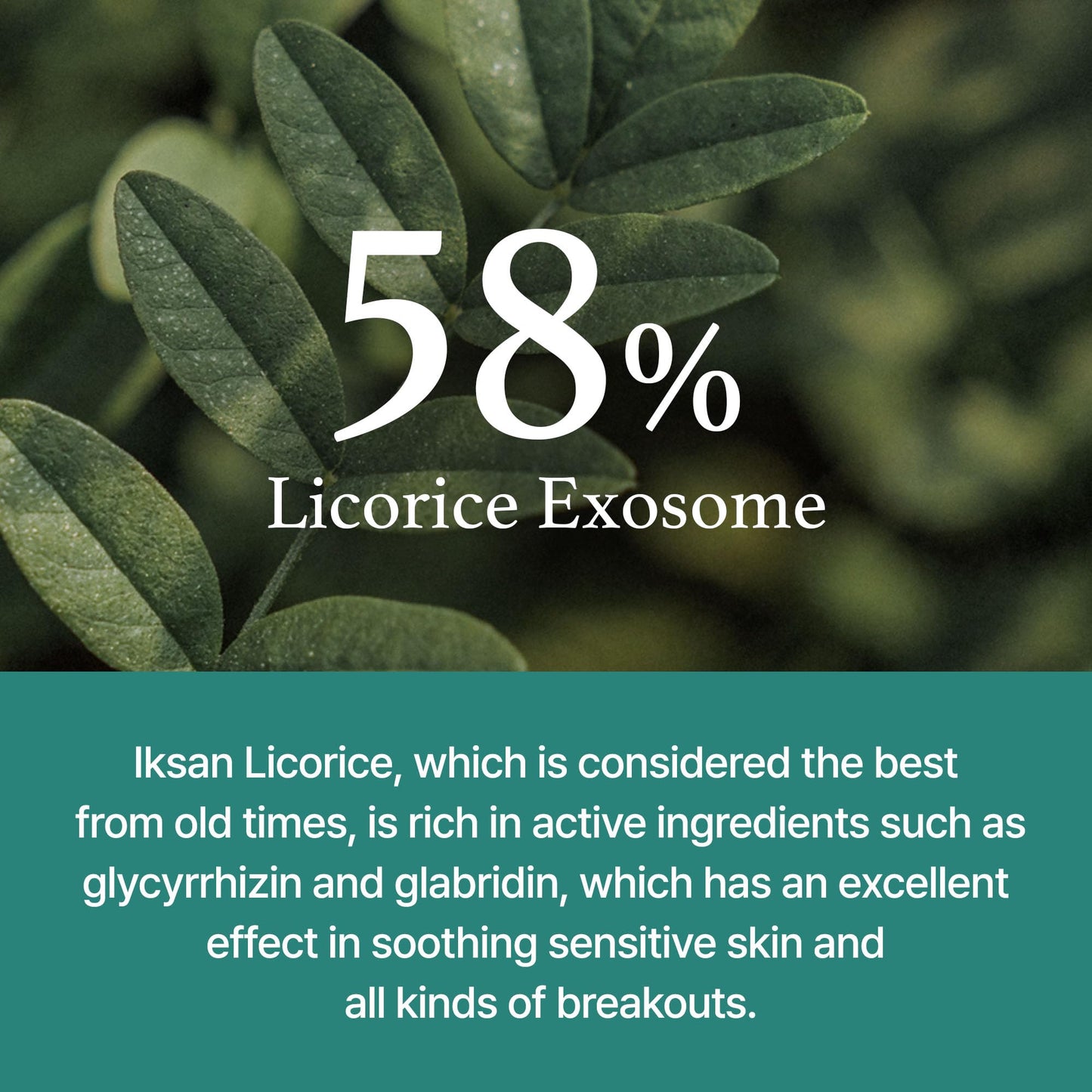 I'm from Licorice Calming Cream 50 ml, Korean Licorice, Soothing, Hydrating for Sensitive & Irritated Skin