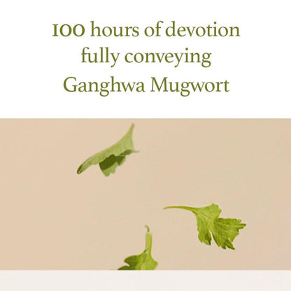 I'm from Mugwort Gel Cleanser 150ml, Mugwort 60%, Calming, Soothing, Mild low pH Korean Face Wash for Sensitive Skin, Irritated Skin, Herbal, Hypoallergenic, Vegan