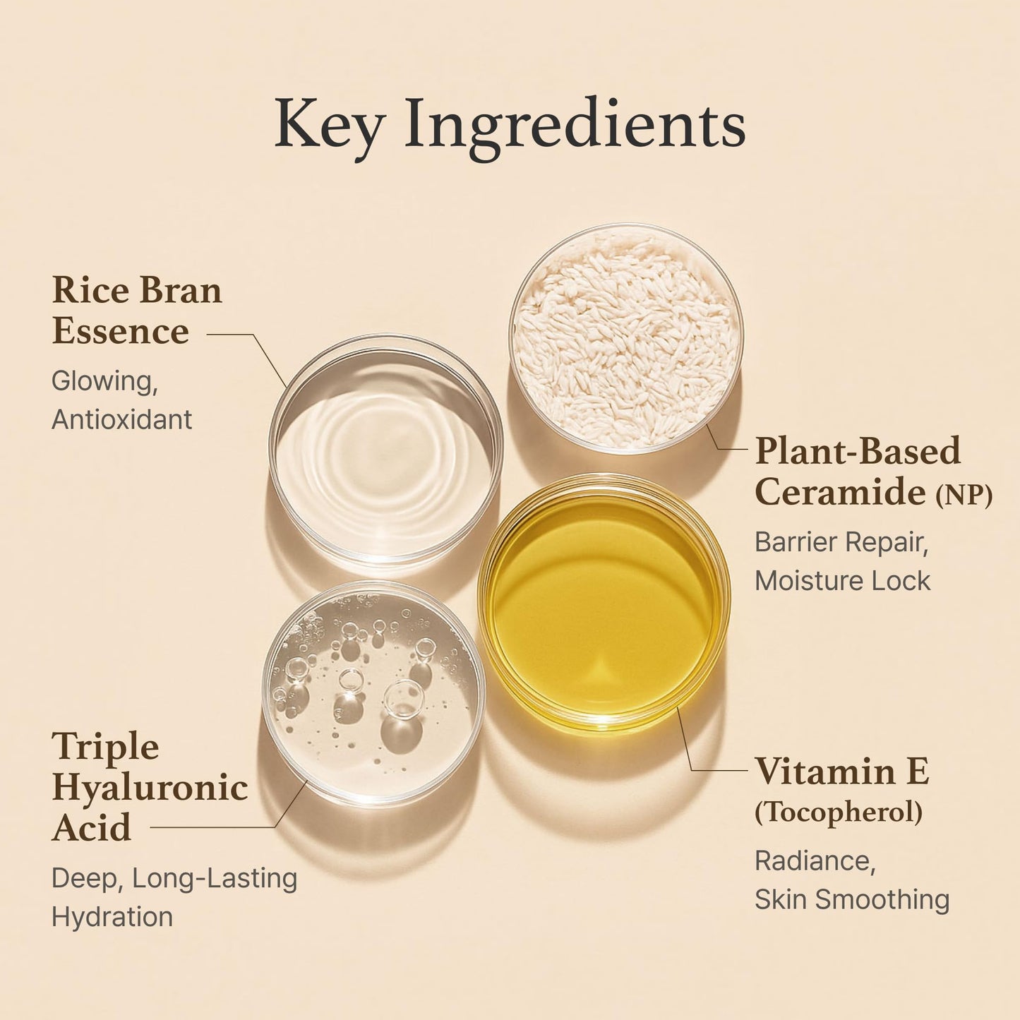 I'm from Rice Cream 1.69 Ounce, 41% Rice Bran Essence with Ceramide, Glowing Look, Improves Moisture Skin Barrier, Nourishes Deeply, Soothing to Even Out Skin Tone, Valentine's Gift